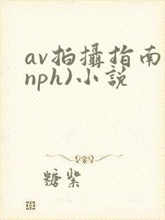 av拍摄指南(nph)小说