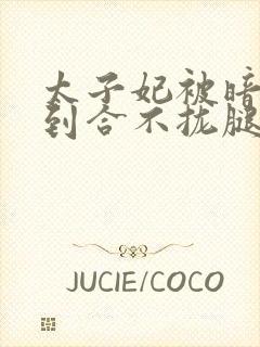 太子妃被暗卫C到合不拢腿