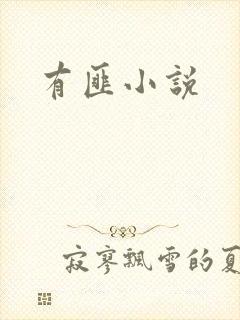 有匪小说