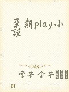 孕期play小说封面