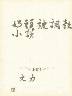 奶头被调教大的小说