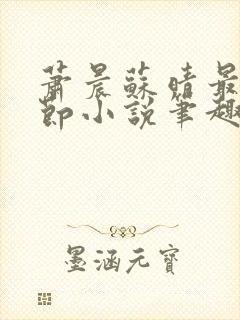 萧晨苏晴最新章节小说笔趣阁