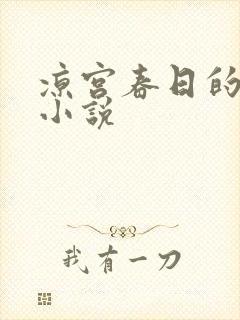 凉宫春日的忧郁小说