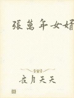 张万年女婿封面