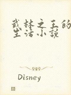 武林之王的退隐生活小说