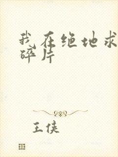 我在绝地求生捡碎片