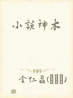 小说神木