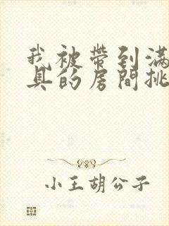 我被带到满是玩具的房间挑调作文