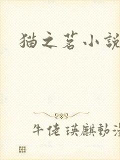 猫之茗小说封面