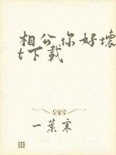 相公你好坏txt下载
