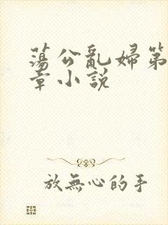 荡公乱妇第51章小说