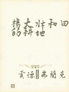 杨大壮和田桂花的耕地