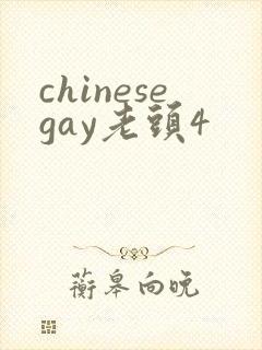 chinesegay老头4