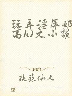 玩弄淫辱奶头(高h)文小说