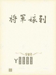 将军嫁到
