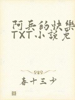 阿兵的快乐生活TXT小说免费阅读全章