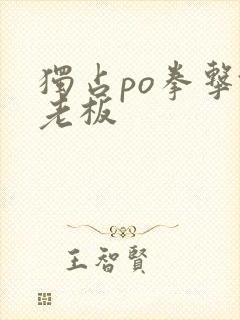 独占po拳击馆老板