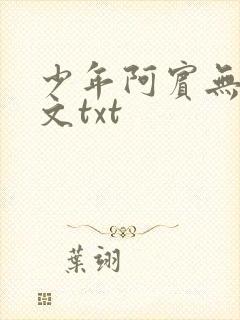 少年阿宾无删全文txt