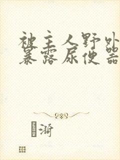 被主人野外调教暴露尿便器