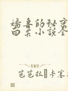 娇妻的秘密王平白柔小说全文阅读