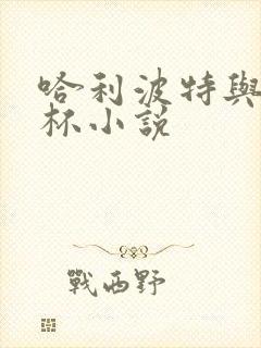 哈利波特与火焰杯小说