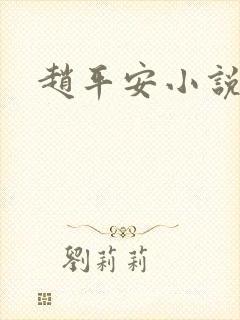 赵平安小说主角