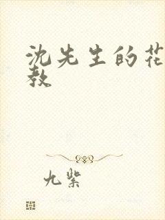 沈先生的花式调教