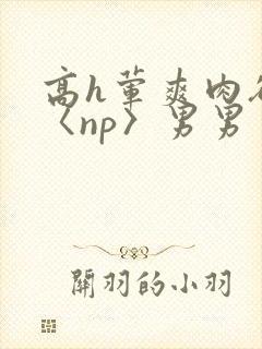 高h荤爽肉欲文〈np〉男男