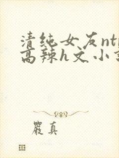 清纯女友ntr高辣h文小说封面
