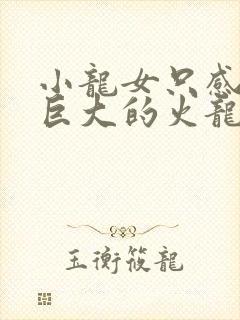 小龙女只感觉那巨大的火龙枪