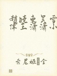 赵晓东吴雪晴郑伟王潇潇小说