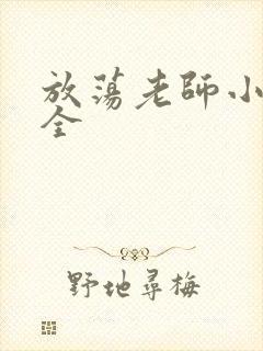 放荡老师小说大全