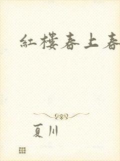 红楼春上春封面