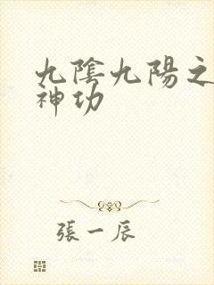 九阴九阳之阴阳神功封面