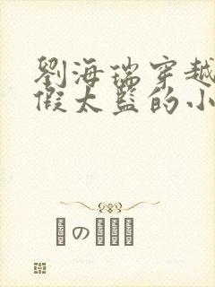 刘海瑞穿越后宫假太监的小说封面