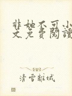 非她不可小说全文免费阅读无弹窗封面