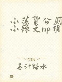 小荡货公厕h文小辣文np视频