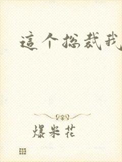 这个总裁我要了