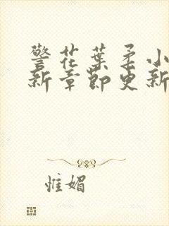 警花叶柔小说最新章节更新