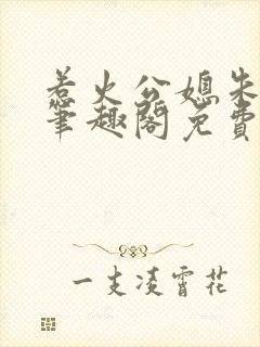 惹火公媳朱怡静笔趣阁免费阅读全文封面