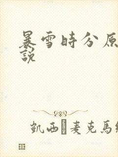 暴雪时分原著小说