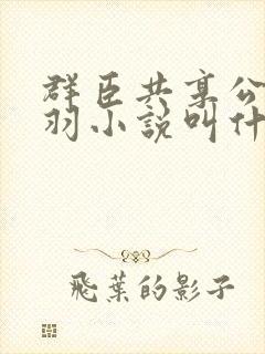 群臣共享公主银羽小说叫什么