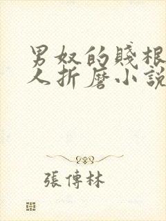 男奴的贱根被主人折磨小说封面