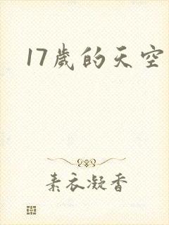 17岁的天空