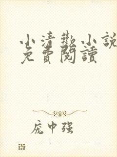 小清欢小说全文免费阅读