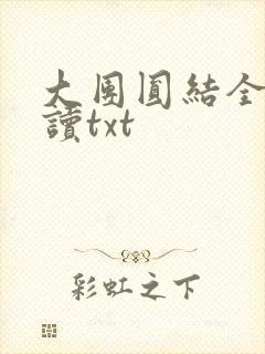 大团圆结全文阅读txt