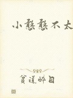 小憨憨不太二封面
