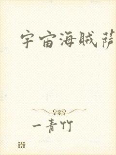 宇宙海贼萨拉封面