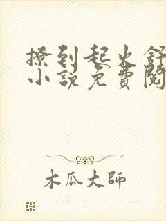 撩到起火舒漾的小说免费阅读全文