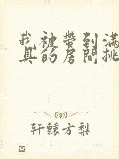 我被带到满是玩具的房间挑调作文